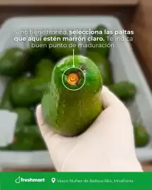 Catálogo Freshmart semana 10 Página 3