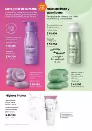 Catálogo Natura Página 114