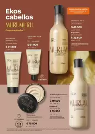 Catálogo Natura Página 143