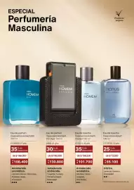 Catálogo Natura Página 35