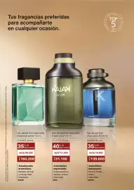 Catálogo Natura Página 36