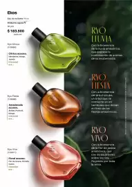 Catálogo Natura Página 51