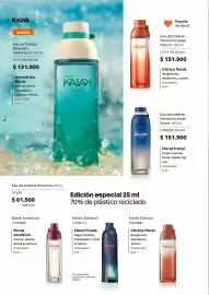 Catálogo Natura Página 53