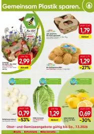 Spar Flugblatt woche 10 Seite 15