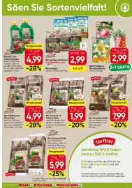 Spar Flugblatt woche 10 Seite 19