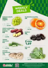 Amazing Oriëntal folder week 10 Pagina 1