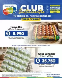 Catálogo Surtifamiliar Página 2