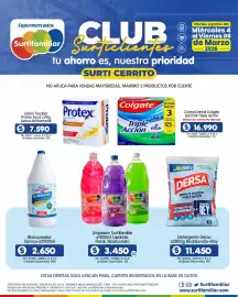 Catálogo Surtifamiliar Página 5