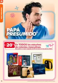 Folleto Carrefour Página 10