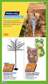 Action gazetka tydzień 10 Strona 19