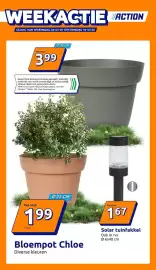 Action folder week 10 Pagina 1