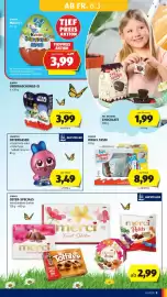 Hofer Flugblatt Seite 13