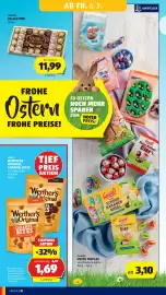 Hofer Flugblatt Seite 14