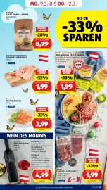 Hofer Flugblatt Seite 17