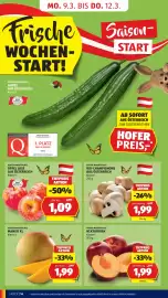 Hofer Flugblatt Seite 18