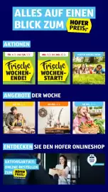 Hofer Flugblatt Seite 2