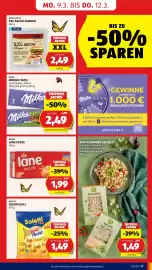 Hofer Flugblatt Seite 21