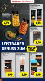 Hofer Flugblatt Seite 22