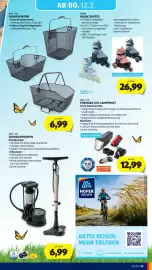 Hofer Flugblatt Seite 37