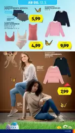 Hofer Flugblatt Seite 39