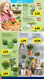 Hofer Flugblatt Seite 40