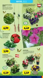 Hofer Flugblatt Seite 41