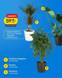 Castorama gazetka Strona 10