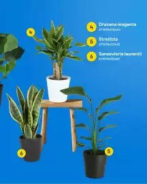 Castorama gazetka Strona 11