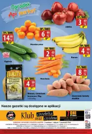 API MARKET gazetka tydzień 10 Strona 12