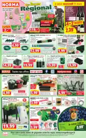 Catalogue Norma semaine 11 page 1