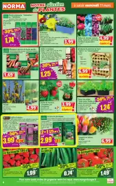 Catalogue Norma semaine 11 page 4