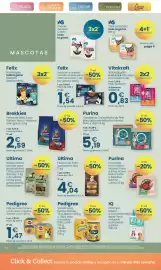 Folleto Clarel Página 12