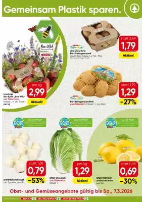Spar Flugblatt (gültig bis 7-03)