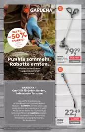 ADEG Flugblatt woche 11 Seite 10