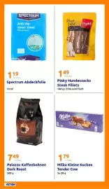 Action Prospekt woche 10 Seite 24