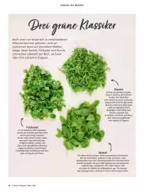 Alnatura Magazin Seite 18