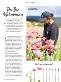 Alnatura Magazin Seite 26