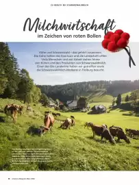 Alnatura Magazin Seite 38