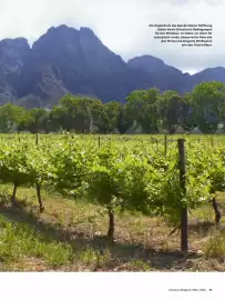 Alnatura Magazin Seite 45