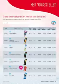 Selgros Prospekt Seite 13