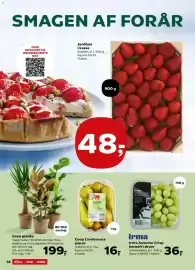 SuperBrugsen tilbudsavis uge 10 Side 14