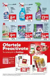 Catalog PROFI Pagină 13