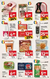 Catalog PROFI Pagină 5