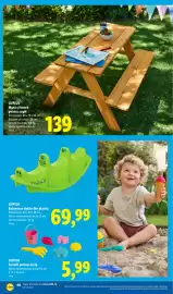 Catalog Lidl săptămâna 11 Pagină 40