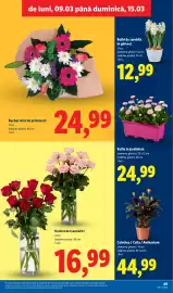 Catalog Lidl săptămâna 11 Pagină 49