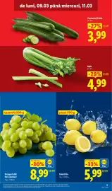 Catalog Lidl săptămâna 11 Pagină 5