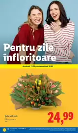 Catalog Lidl săptămâna 11 Pagină 50