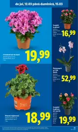 Catalog Lidl săptămâna 11 Pagină 51