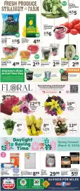Food City weekly ad week 10 Page 5