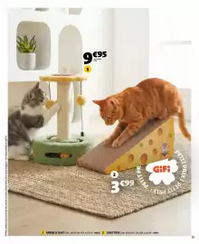 GiFi folder Pagina 15